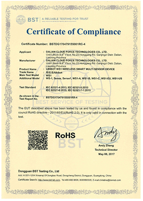 сертификат регистраторa ws1-RoSH