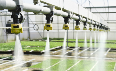 Messung von Temperatur, Feuchtigkeit und Beleuchtung in der Landwirtschaft