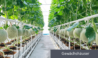 Messung von Temperatur und Feuchtigkeit im Gewächshaus