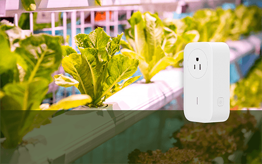 Automatyczna kontrola warunków w szklarni