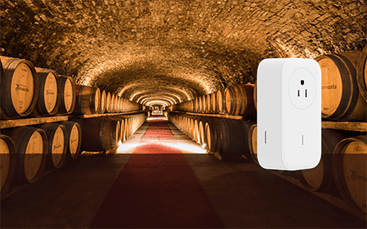 Kontrola warunków w piwnicach i pomieszczeniach magazynowych